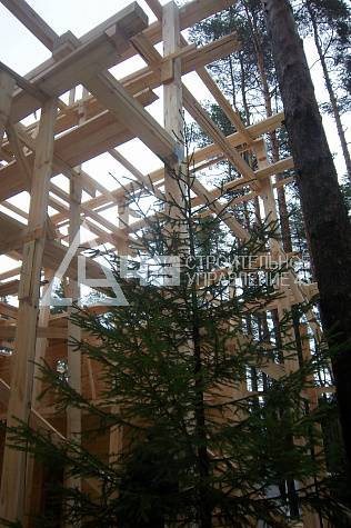 Leningrad City, 03.03.2015