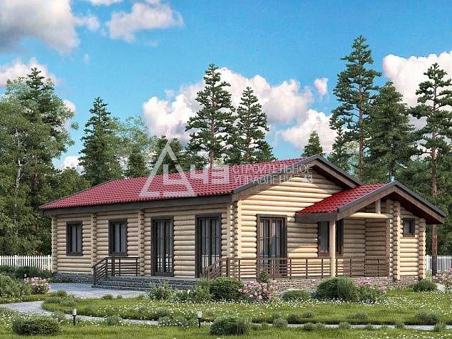 Project-0271
